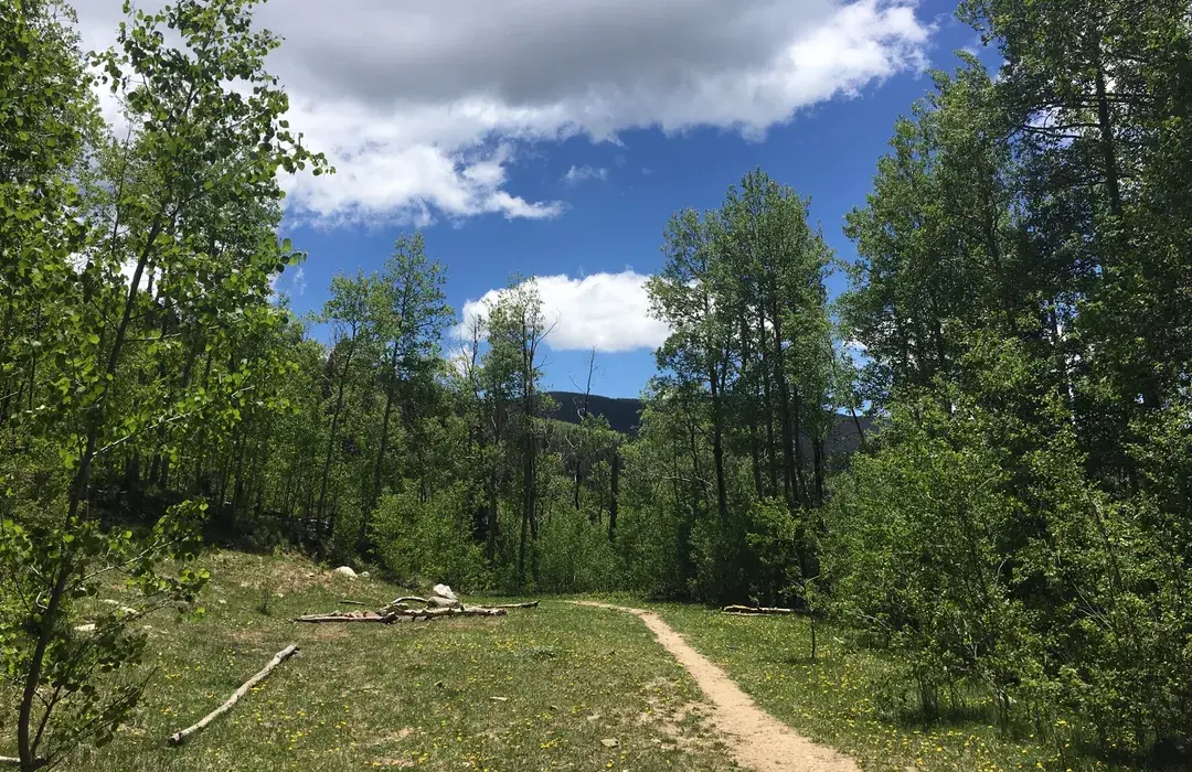 Norski Trails