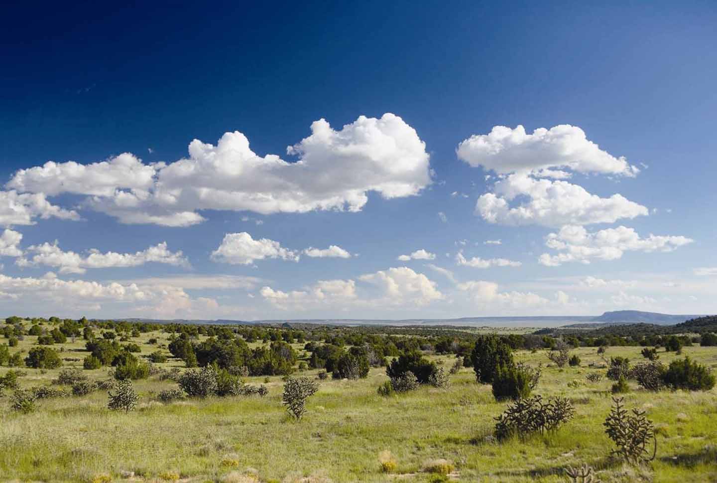 Thornton-Ranch
