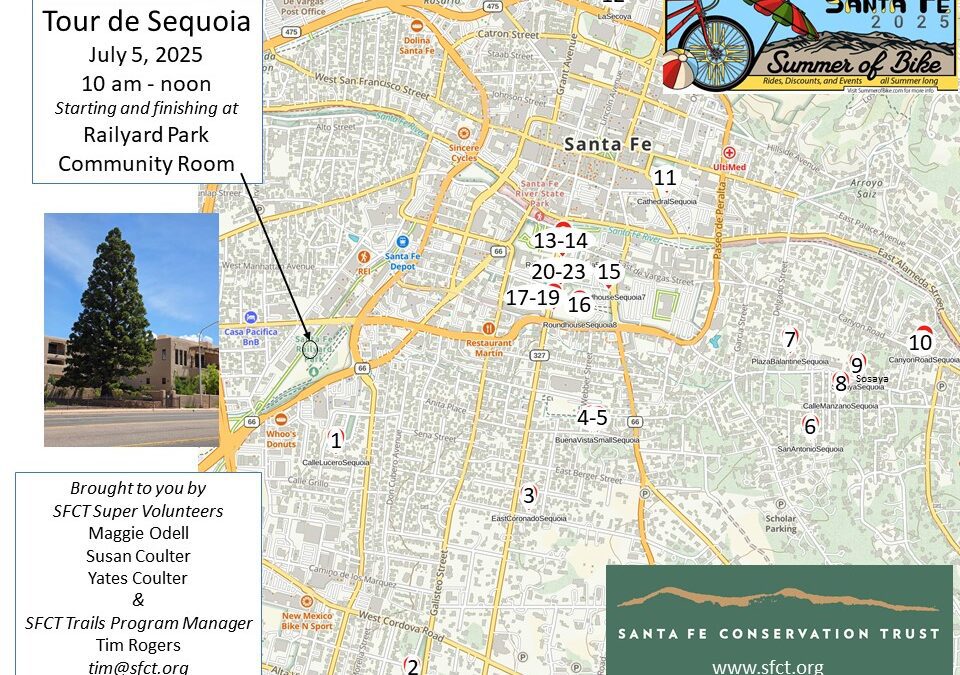 Tour de Sequoia, July 5, 2025