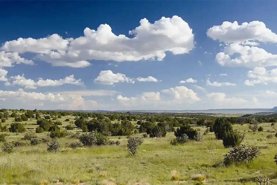 Land Protection Land Protection